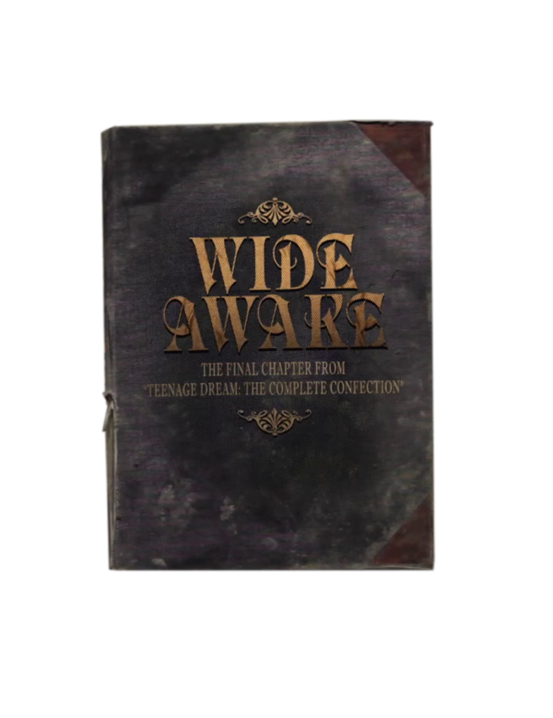 Wide Awake Katy Perry png by 