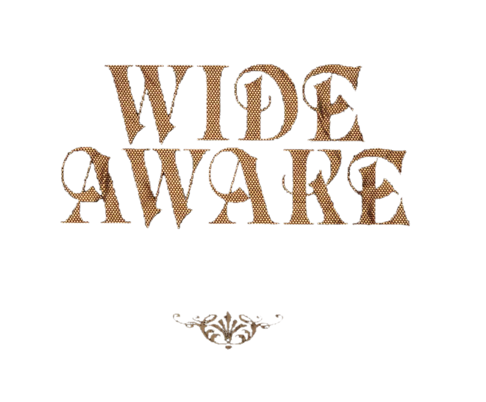 Katy Perry Wide Awake Presentacion PNG by danperrybluepink  , Wide Awake In Bed PNG - Free PNG