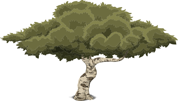 Wide tree- screenshot