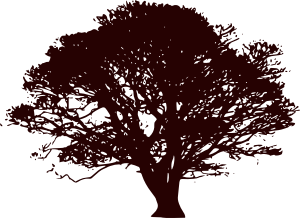 Png: Small · Medium · Large - Wide Tree, Transparent background PNG HD thumbnail