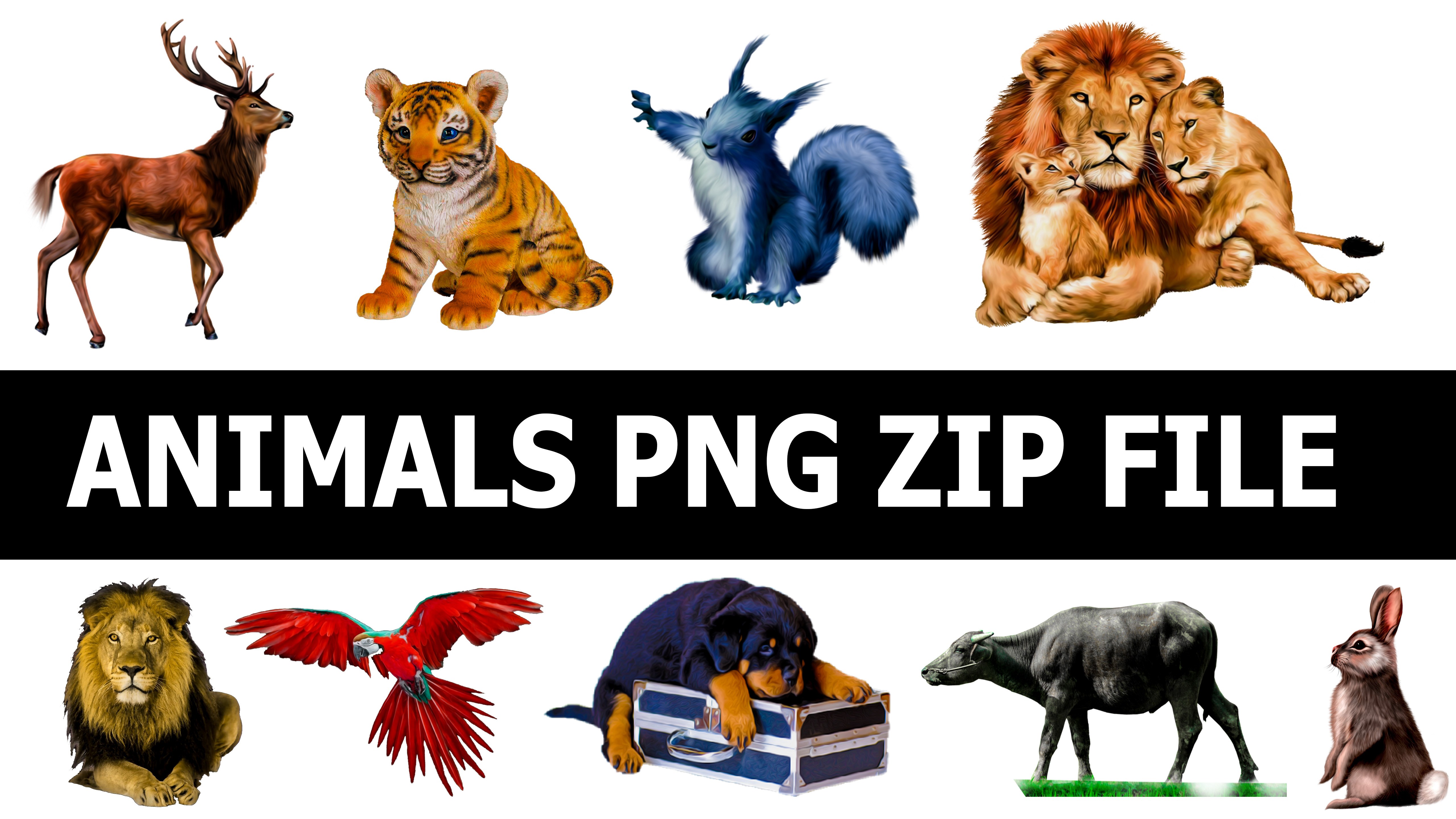 Hd Animals Png Zip File, Animal Hd Png, Wild Animals Png - Wild Animals, Transparent background PNG HD thumbnail