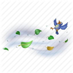 Bird, forecast, storm, weather, wind, windy icon, Windy PNG HD - Free PNG