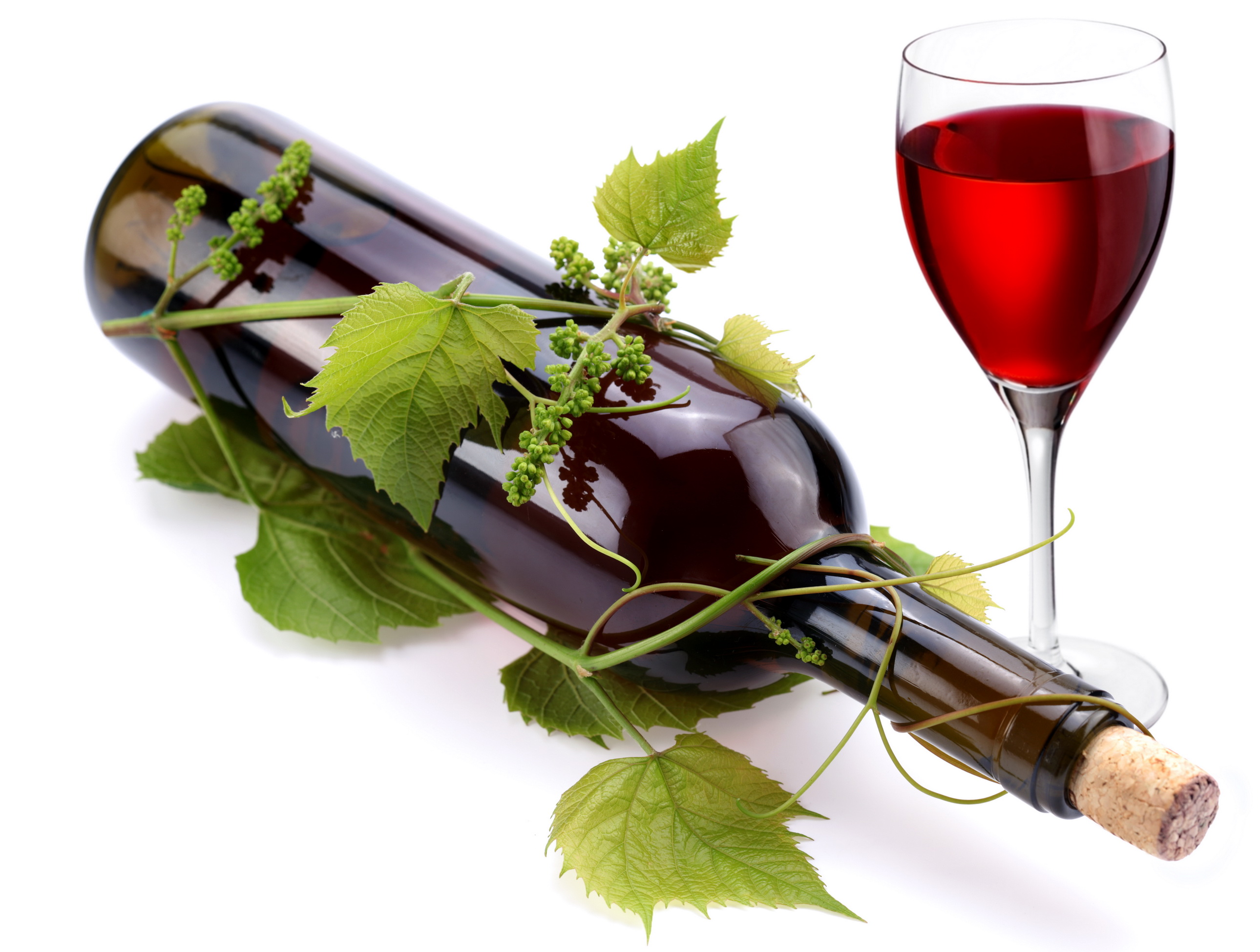 Images Wine Food Bottle Drinks 2580X1950 - Wine, Transparent background PNG HD thumbnail