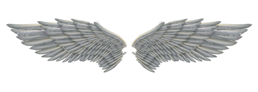 Angel Wings 01 By Marioara08 On Clipart Library - Wings, Transparent background PNG HD thumbnail