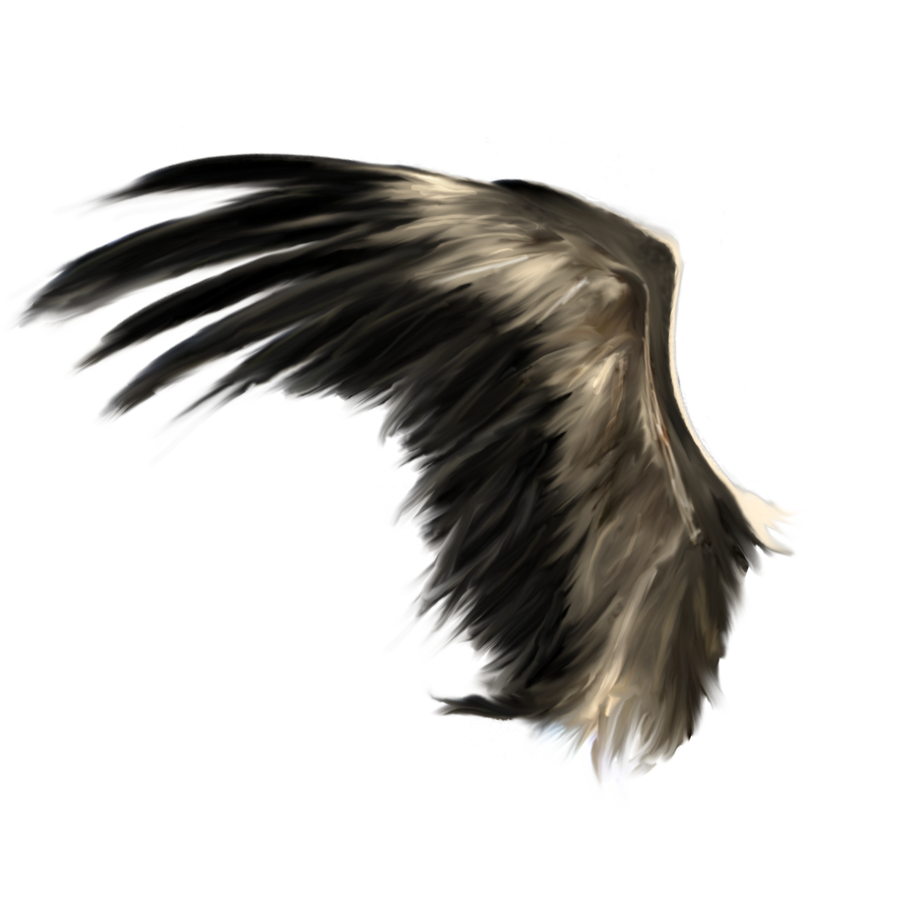 Download Original Size - Wings, Transparent background PNG HD thumbnail