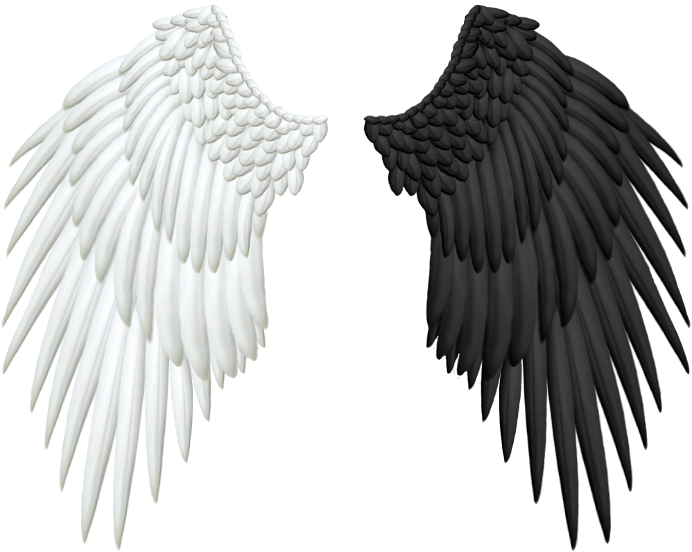 transparent angel wings | Tum