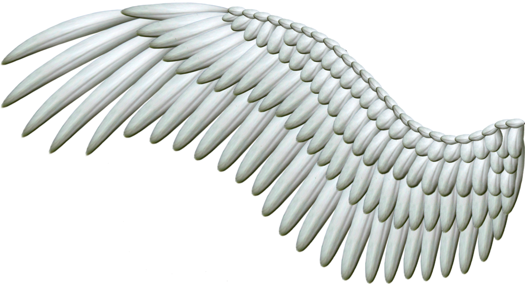 Good and Evil Angel Wings PNG