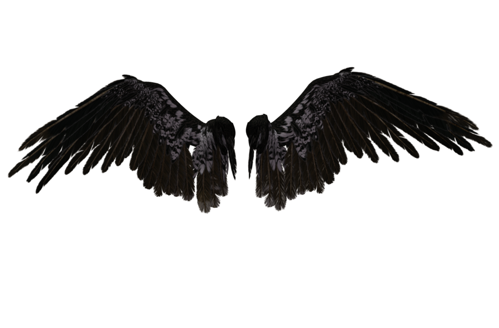 Spread Silver Wings PNG by Th