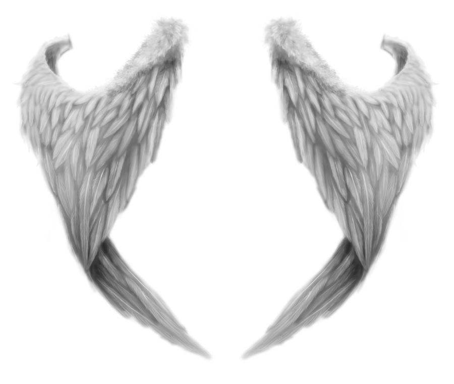 White Wings Png - Wings, Transparent background PNG HD thumbnail