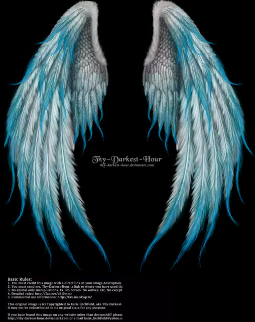 angel wings 01 by Marioara08 