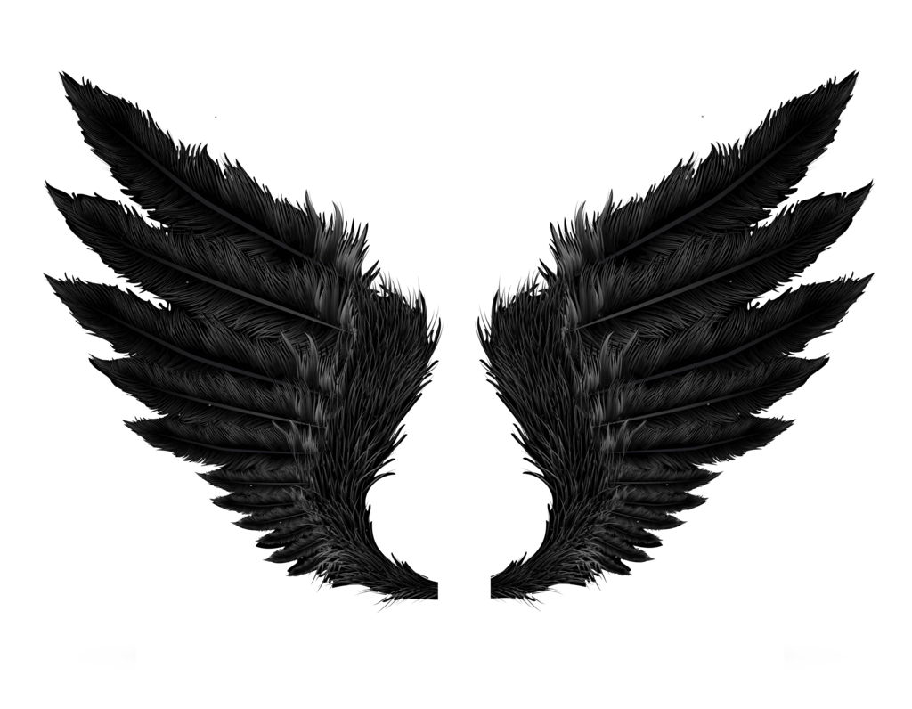 Wings Png Clipart - Wings, Transparent background PNG HD thumbnail