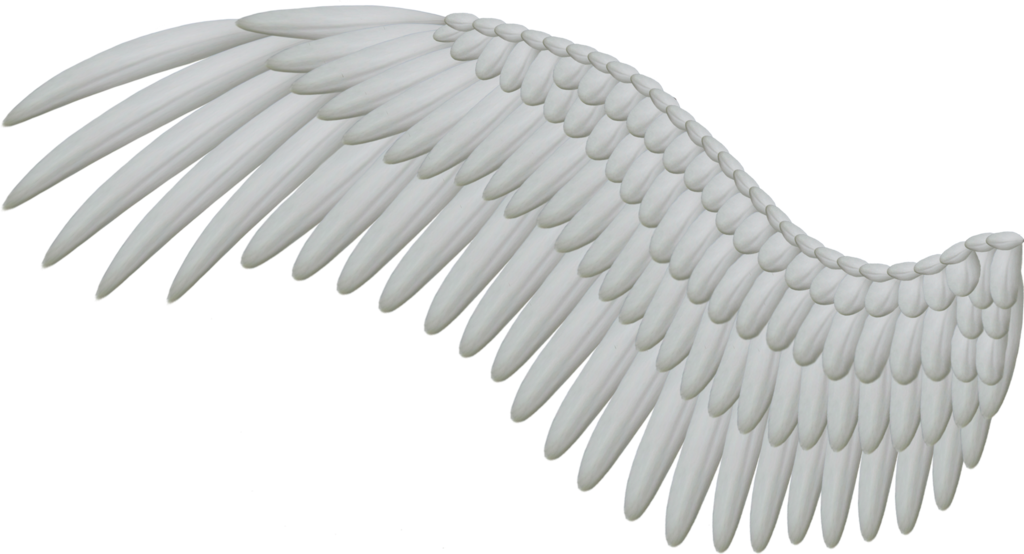 Wings Png Hd - Wings, Transparent background PNG HD thumbnail