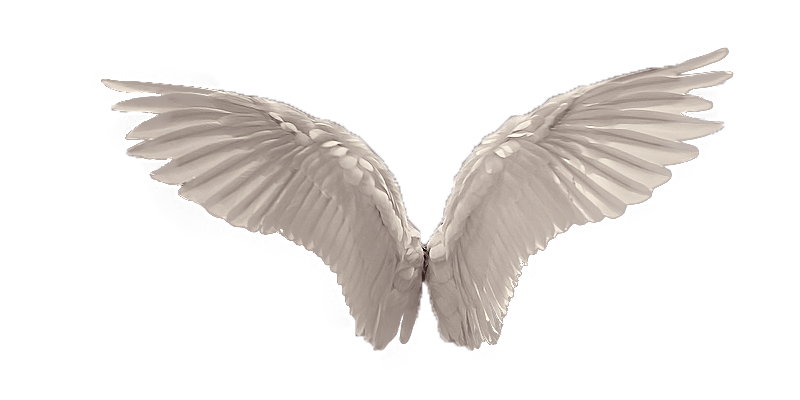 transparent angel wings | Tum