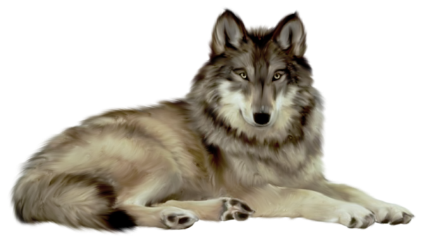 White Wolf PNG, Wolf HD PNG - Free PNG