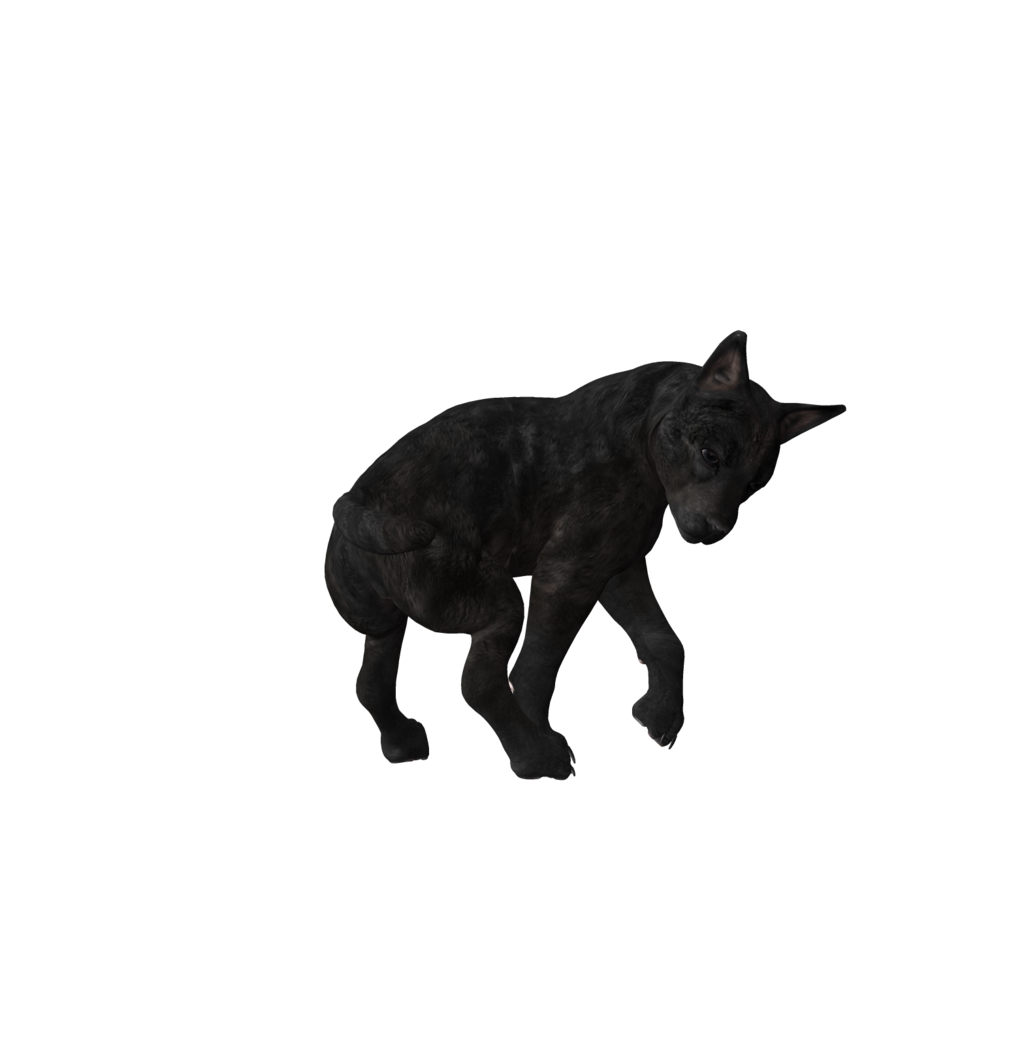 . Hdpng.com Wolf Puppy Png Stock 3 By Direwrath - Wolf Pup, Transparent background PNG HD thumbnail