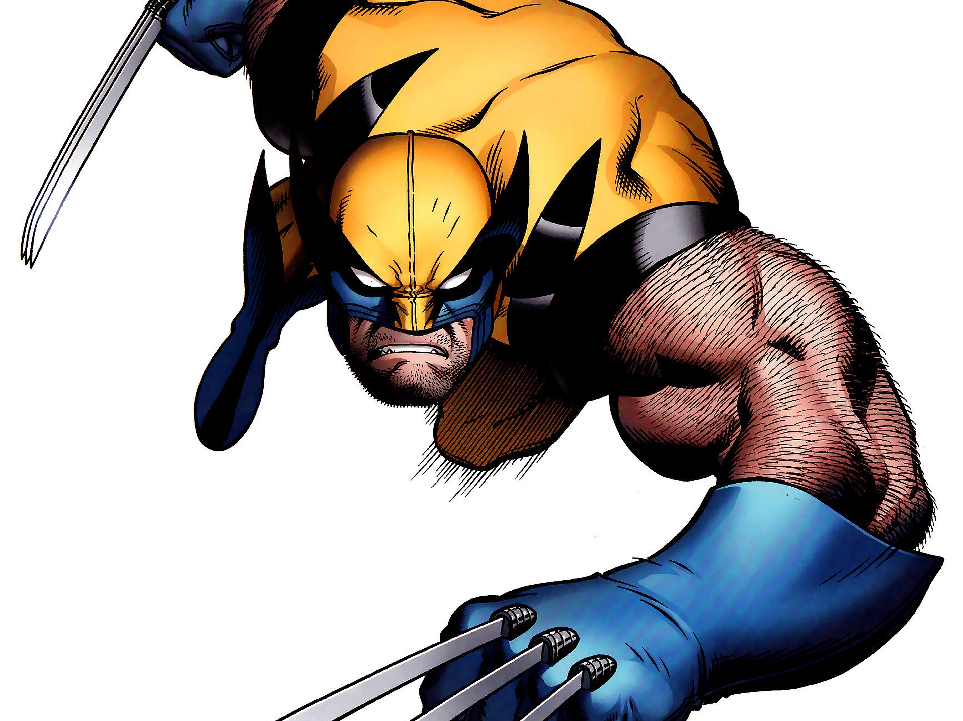 Comics   Wolverine Wallpaper - Wolverine, Transparent background PNG HD thumbnail