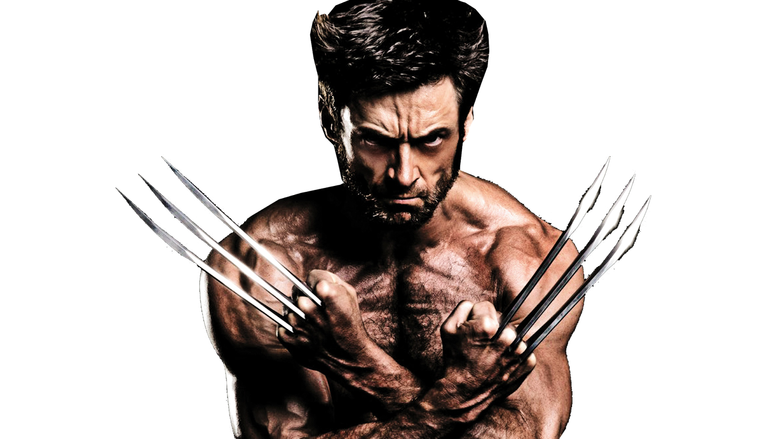 Png Wolverine (X Men, Logan Movie, Hugh Jackman) Hdpng.com  - Wolverine, Transparent background PNG HD thumbnail