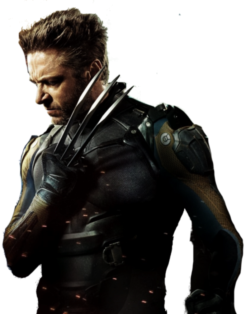 Download - Wolverine, Transparent background PNG HD thumbnail