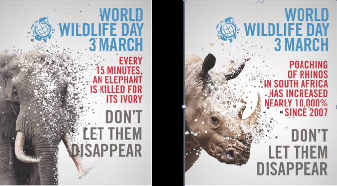 World Wildlife Day Png Hdpng.com 684 - World Wildlife Day, Transparent background PNG HD thumbnail