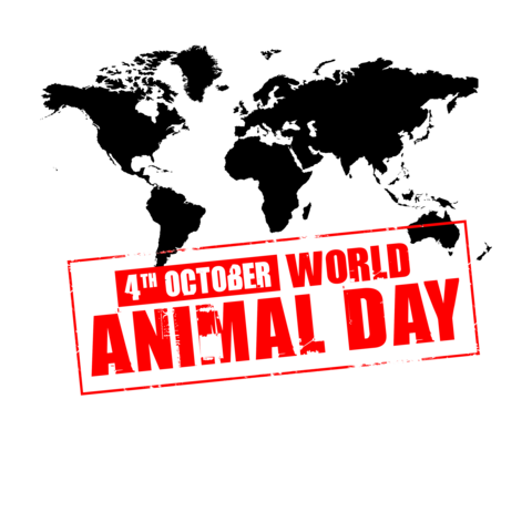 4Th October World Animal Day Picture - World Wildlife Day, Transparent background PNG HD thumbnail