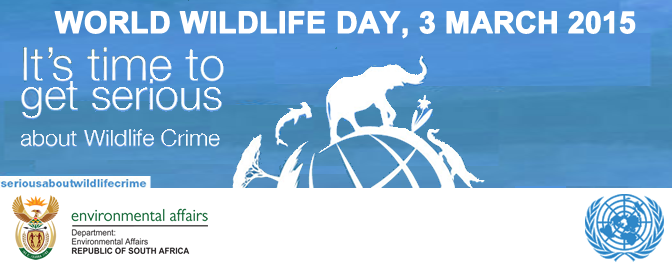 Background - World Wildlife Day, Transparent background PNG HD thumbnail
