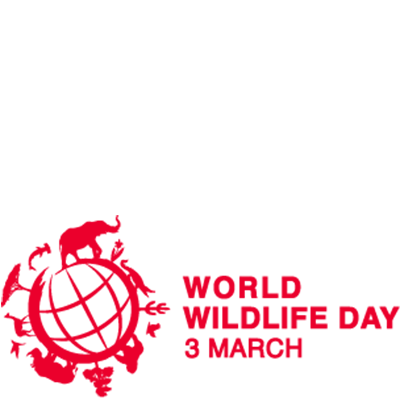 Preview Overlay - World Wildlife Day, Transparent background PNG HD thumbnail
