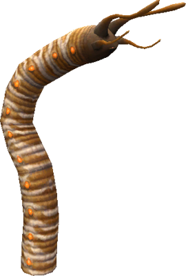 Worm - Worms, Transparent background PNG HD thumbnail