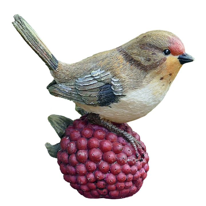 Png, Decorative Bird, Raspberry - Wren, Transparent background PNG HD thumbnail