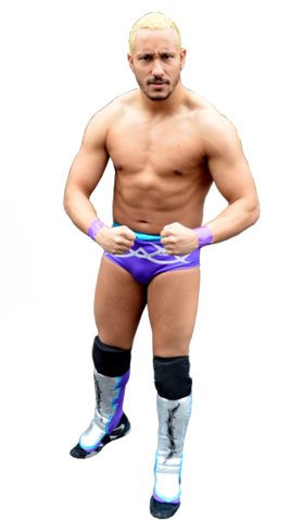 Wrestling HD PNG-PlusPNG plus