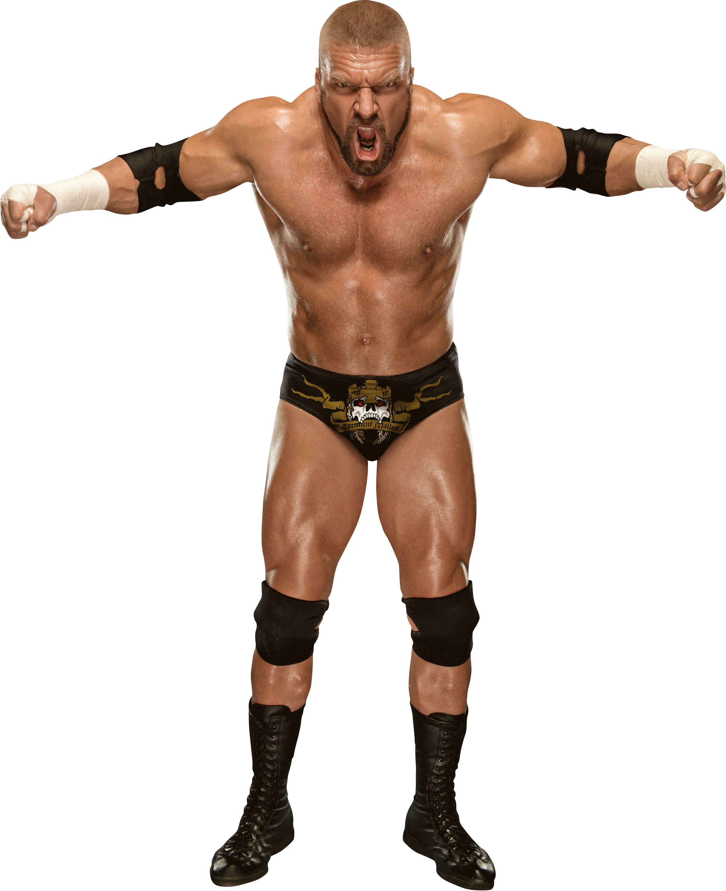 Triple H 20May2014.png - Wrestling, Transparent background PNG HD thumbnail