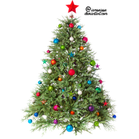 Christmas Tree Png Clipart Png Image - X Mas Tree, Transparent background PNG HD thumbnail