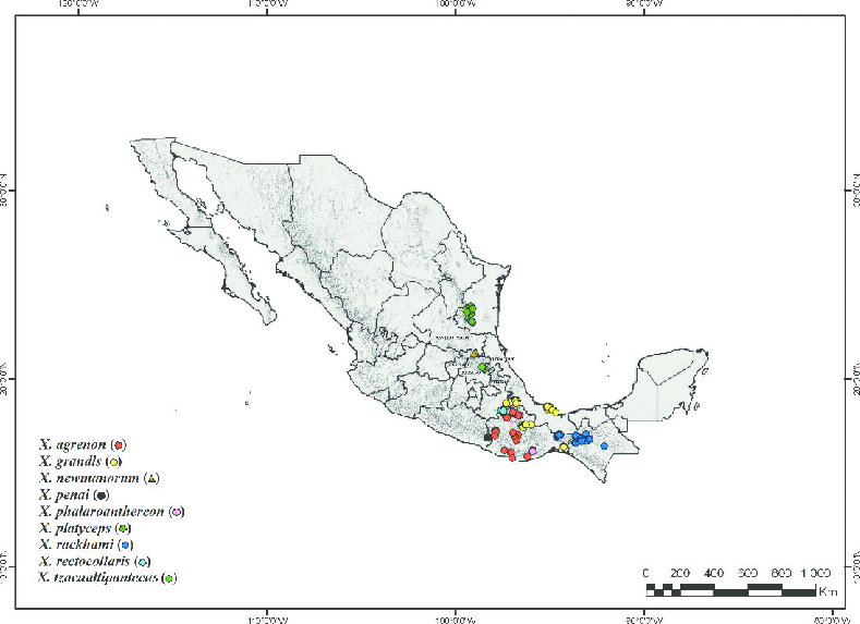 Map Of The Distribution Of Xenosaurus Tzacualtipantecus And The Other Described - Xenosaurus, Transparent background PNG HD thumbnail