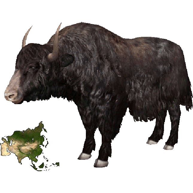 Image   Wild Yak (Dutch Designs).png | Zt2 Download Library Wiki | Fandom Powered By Wikia - Yak Animal, Transparent background PNG HD thumbnail