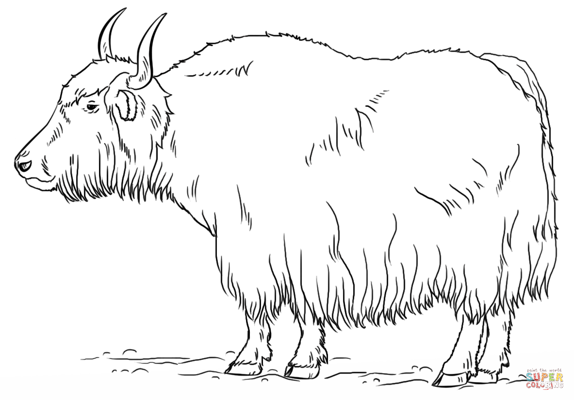 Click The Yak Coloring Hdpng.com  - Yak Black And White, Transparent background PNG HD thumbnail