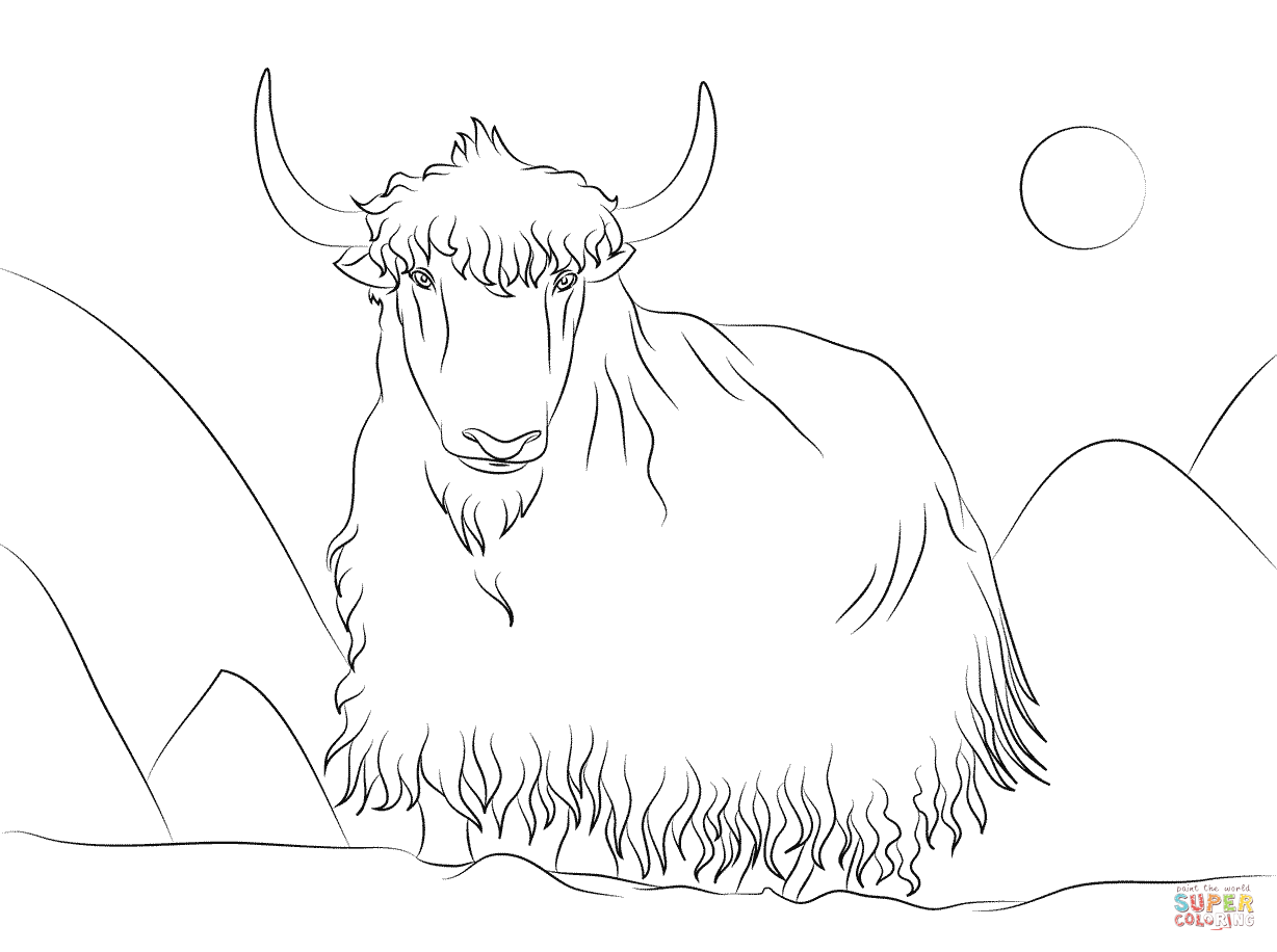 Click The Yak Coloring Hdpng.com  - Yak Black And White, Transparent background PNG HD thumbnail
