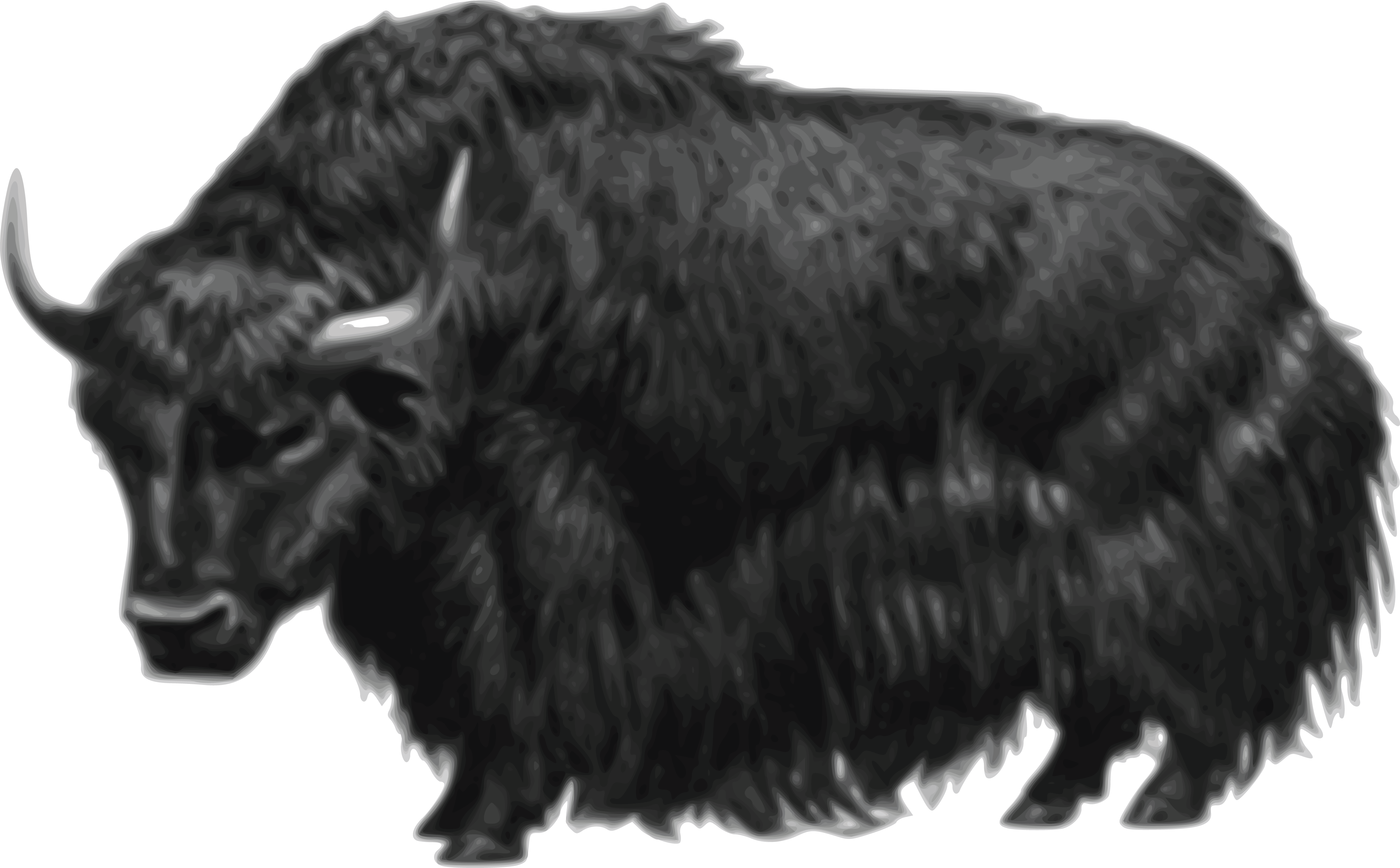 Free Clipart Of A Black Yak #00011545 . - Yak Black And White, Transparent background PNG HD thumbnail