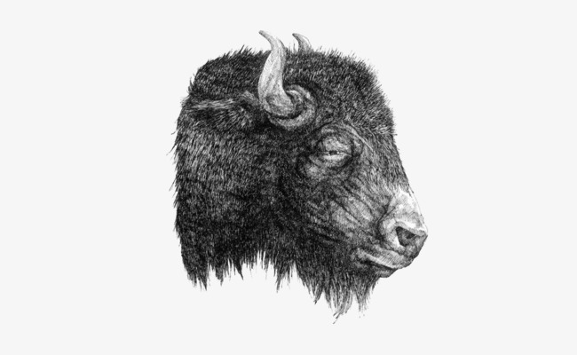 Simple Black And White Yak Head Picture Free Png And Psd - Yak Black And White, Transparent background PNG HD thumbnail