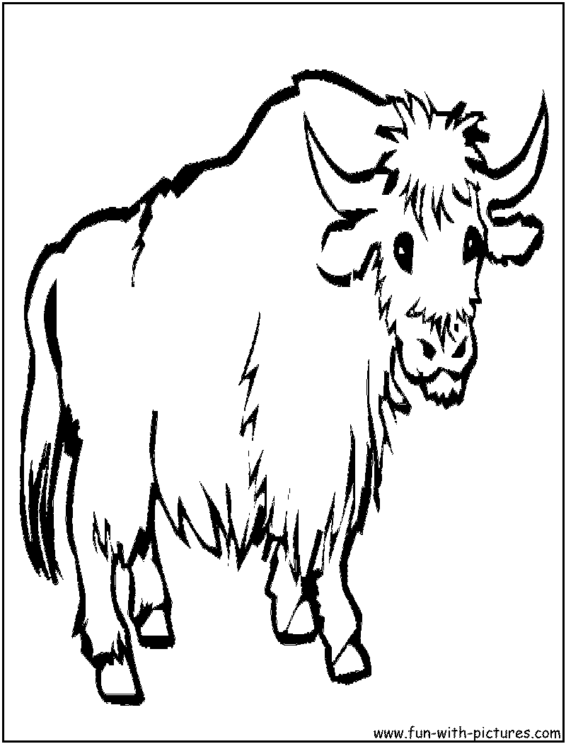 How to draw a yak