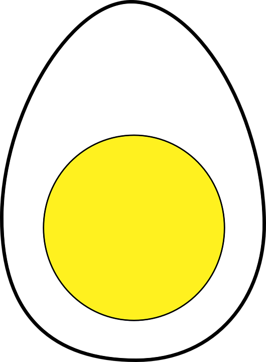 Egg, White, Yellow, Yolk, Boiled, Protein, Food - Yolk Black And White, Transparent background PNG HD thumbnail