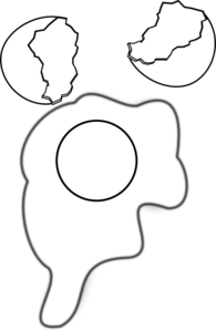 Yolk Clipart Black And White. Egg Yolk Coloring Clip Art - Yolk Black And White, Transparent background PNG HD thumbnail