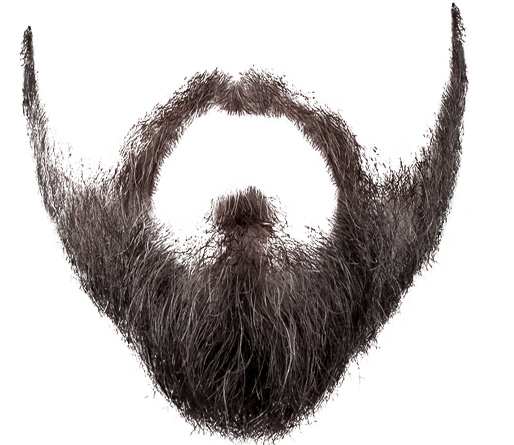 You Can Download Free High Quality Beard Png Below - Beard, Transparent background PNG HD thumbnail