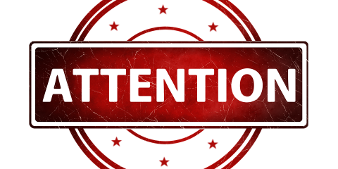 Can We Have Your Attention Please, Kissimmee, Florida - Your Attention Please, Transparent background PNG HD thumbnail