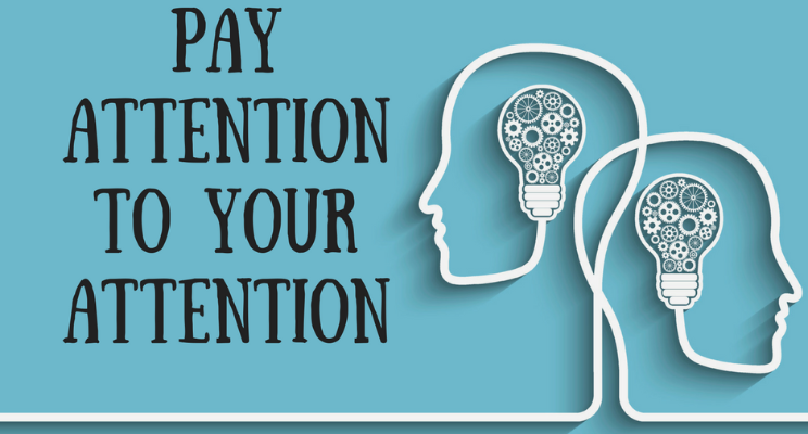 Your Attention And Your Energy And Inextricably Linked. Pay Attention, Please. - Your Attention Please, Transparent background PNG HD thumbnail