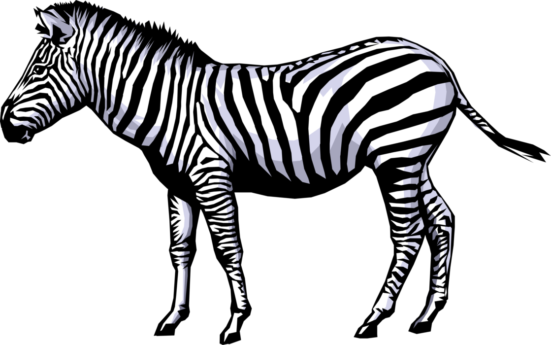 Download PNG image - Zebra Pn