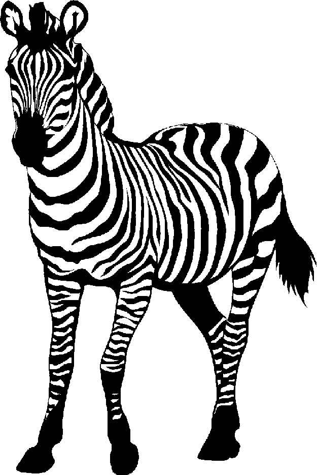 Zebra Clip Art Black And White - Zebra, Transparent background PNG HD thumbnail