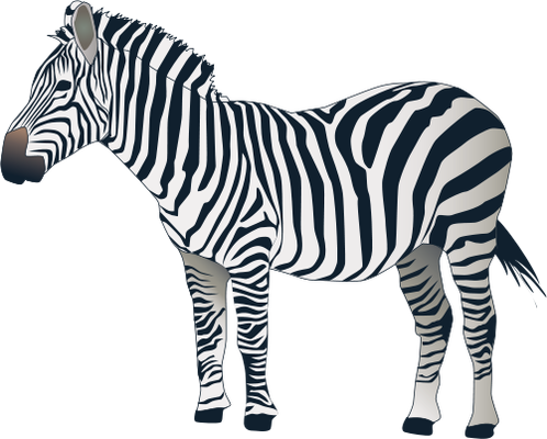 black and white zebra clipart