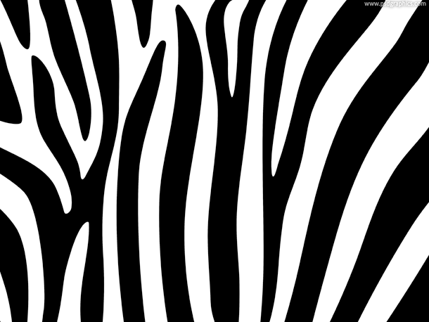 Zebra Print Png Hdpng.com 610 - Zebra Print, Transparent background PNG HD thumbnail