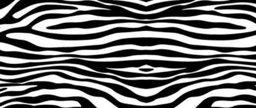 Screenshot - Zebra Print, Transparent background PNG HD thumbnail