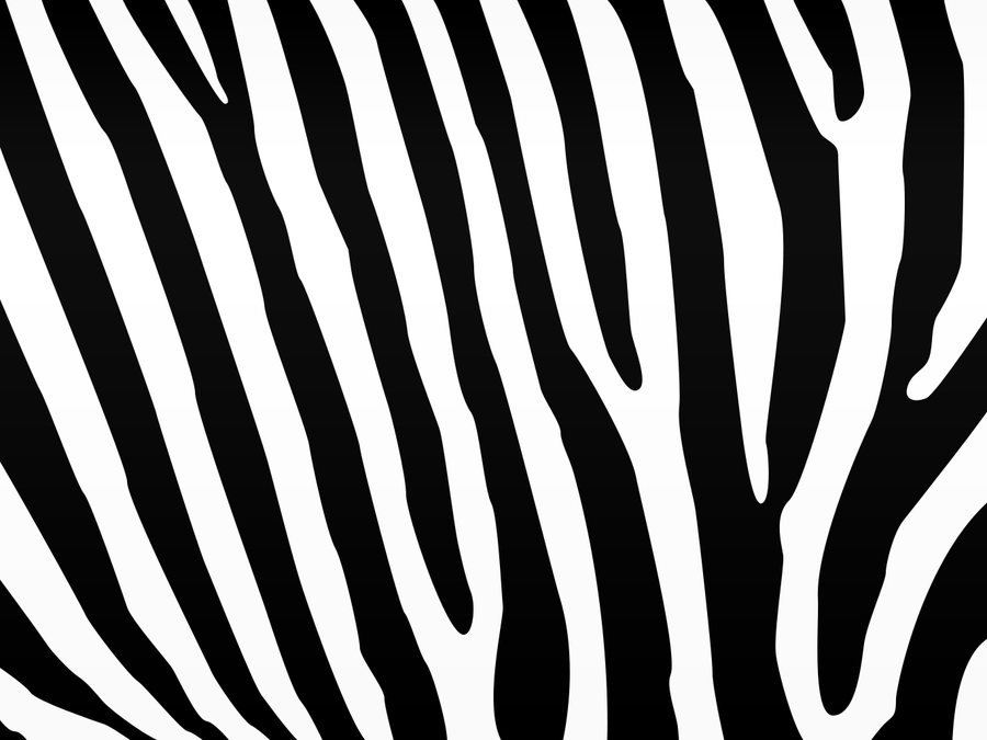 Wallpaper Zebra Print Youtube Background Print #9953 - Zebra Print, Transparent background PNG HD thumbnail
