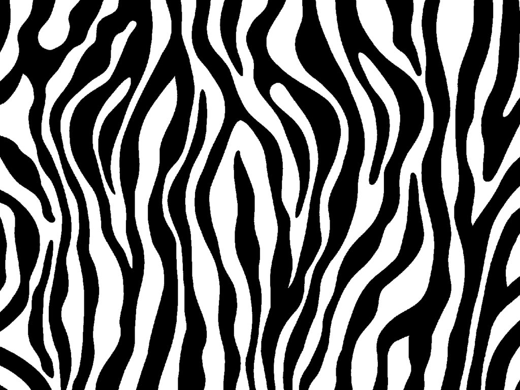Zebra - Zebra Print, Transparent background PNG HD thumbnail